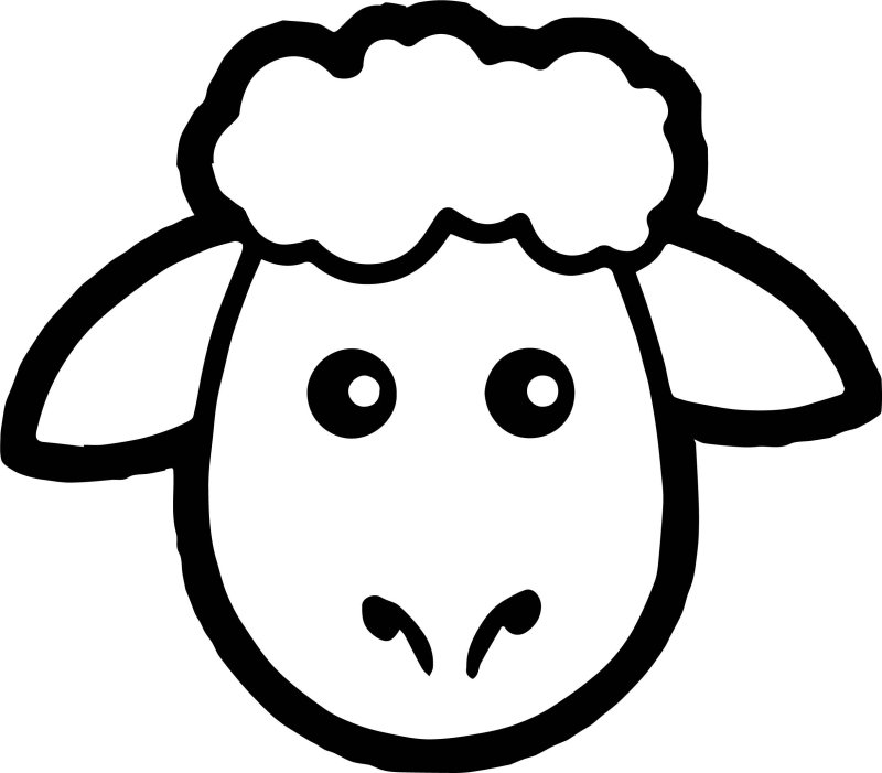 Овечка контур