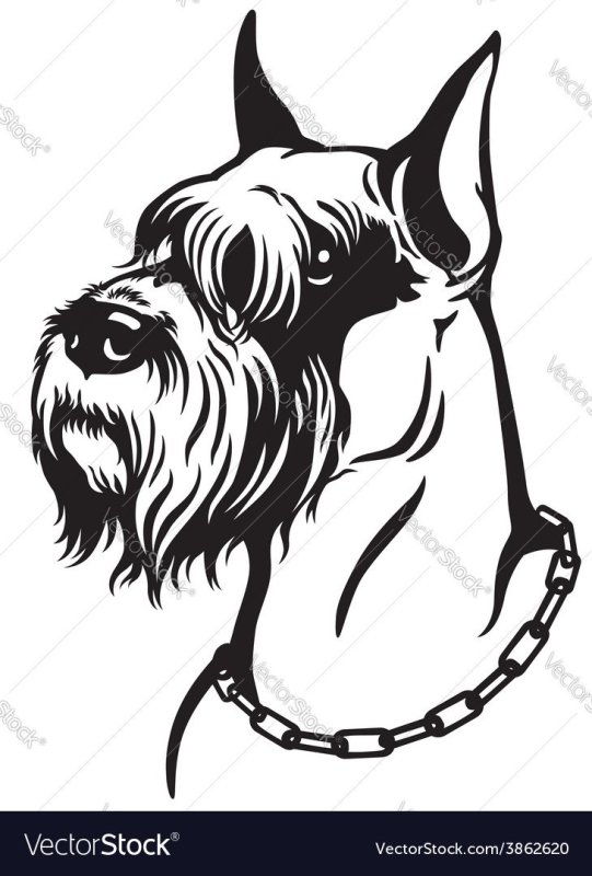 Шнауцер трафарет