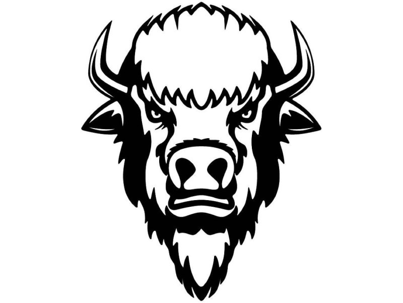 Символ бизона