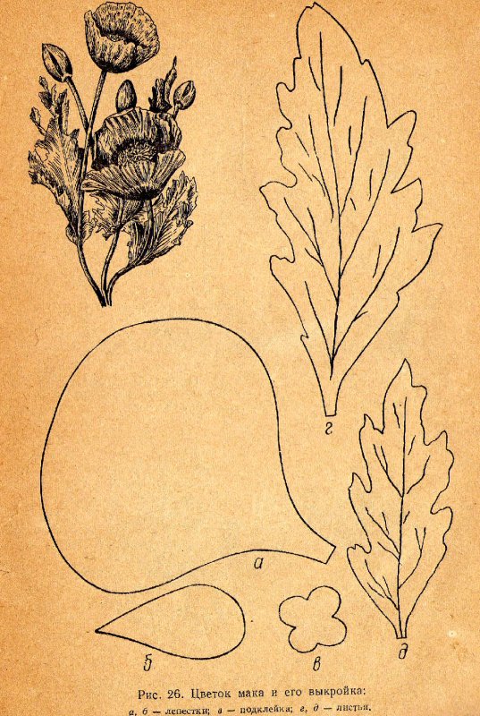Листья мака трафарет