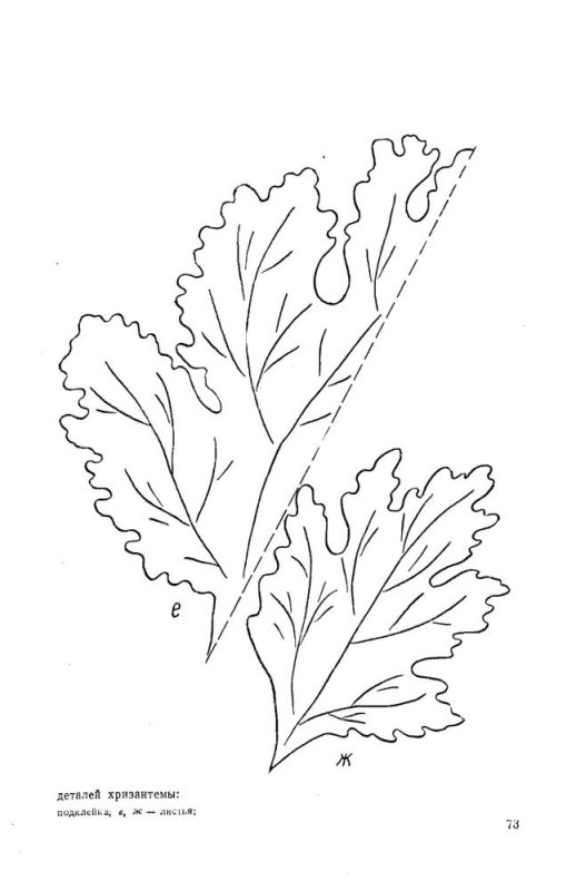 Трафарет листьев хризантемы