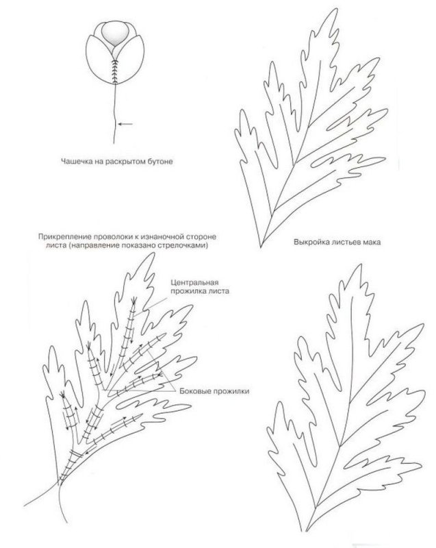 Лист мака выкройка