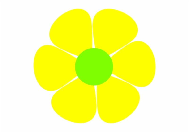 Разноцветные цветочки