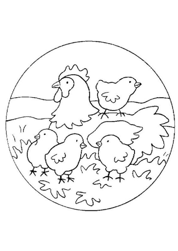 Курица раскраска