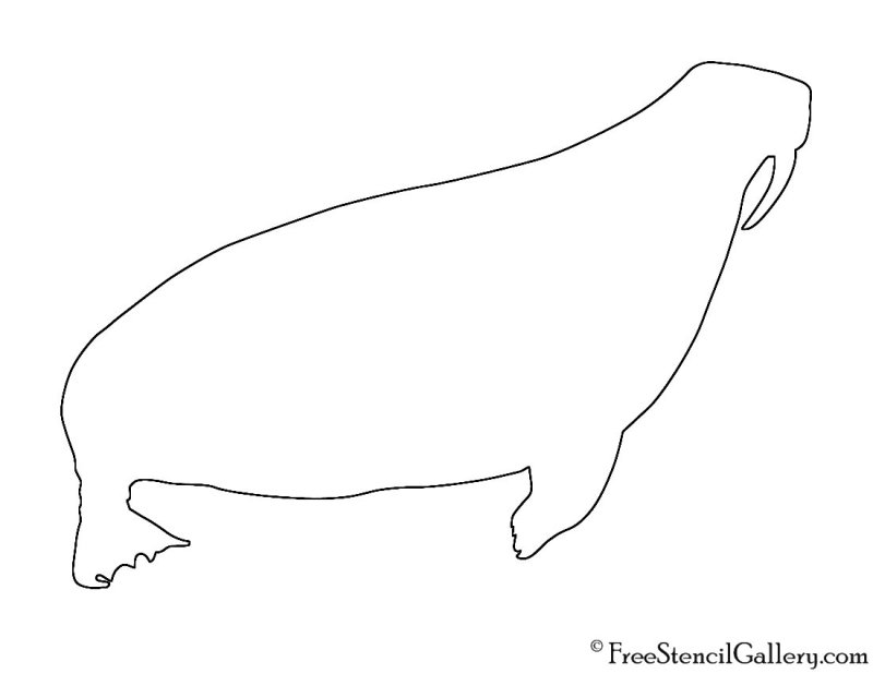 Морж трафарет для вырезания