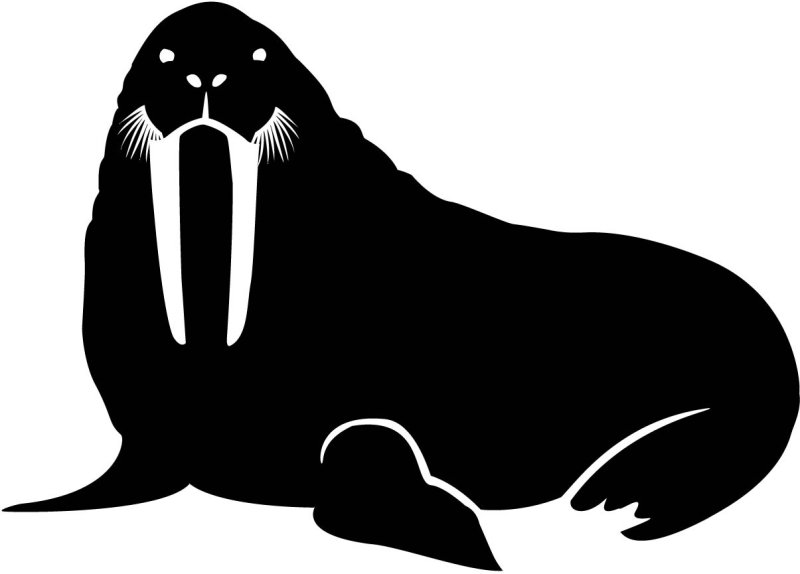 Силуэты морских животных