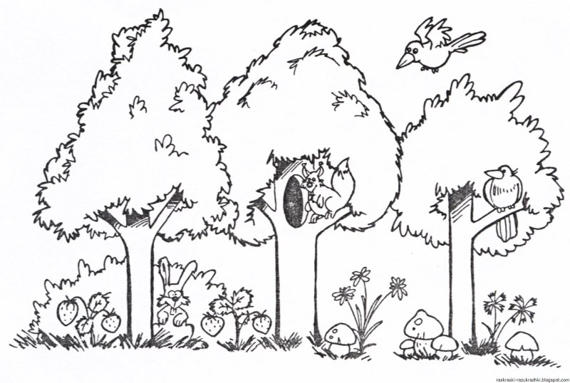Лес раскраска для детей