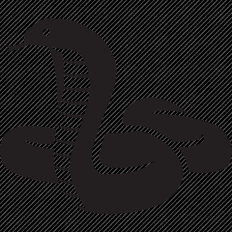 Силуэт змеи