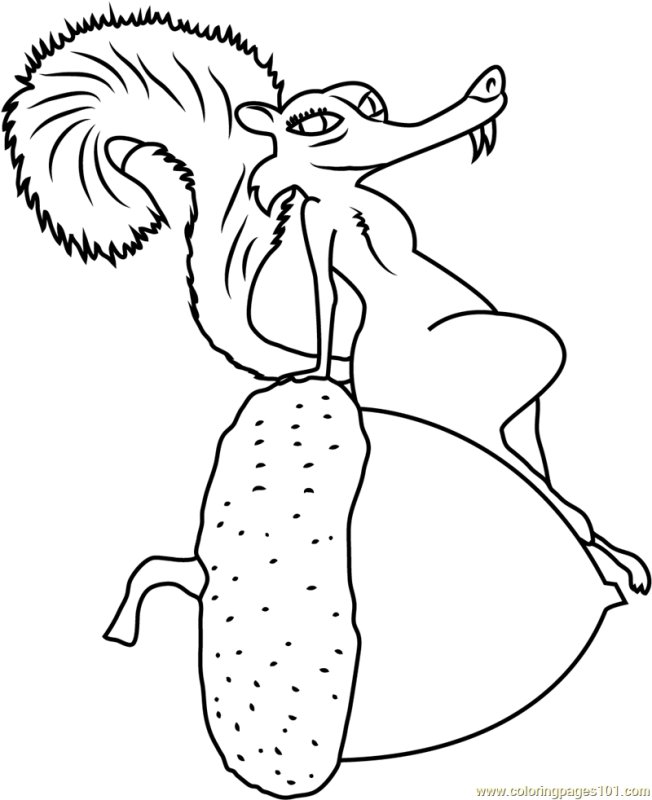 Белка Ледниковый период раскраска