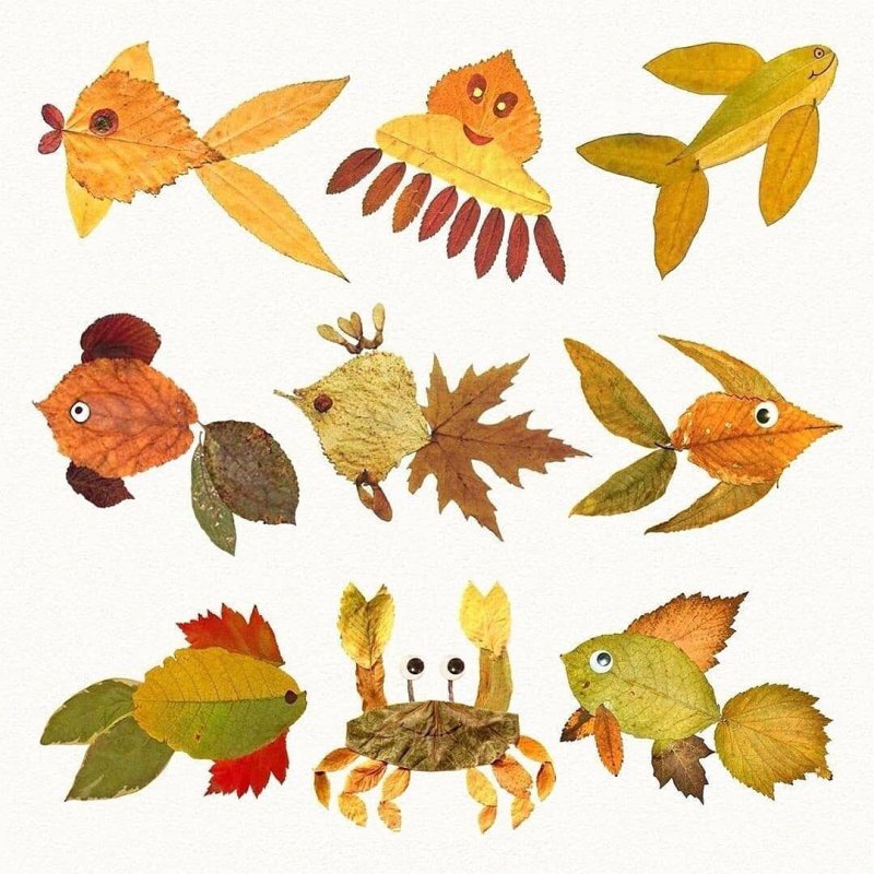 Аппликация из осенних листьев