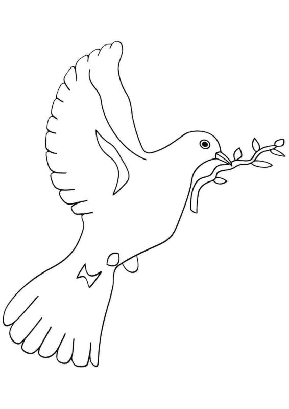 Голубь мира раскраска