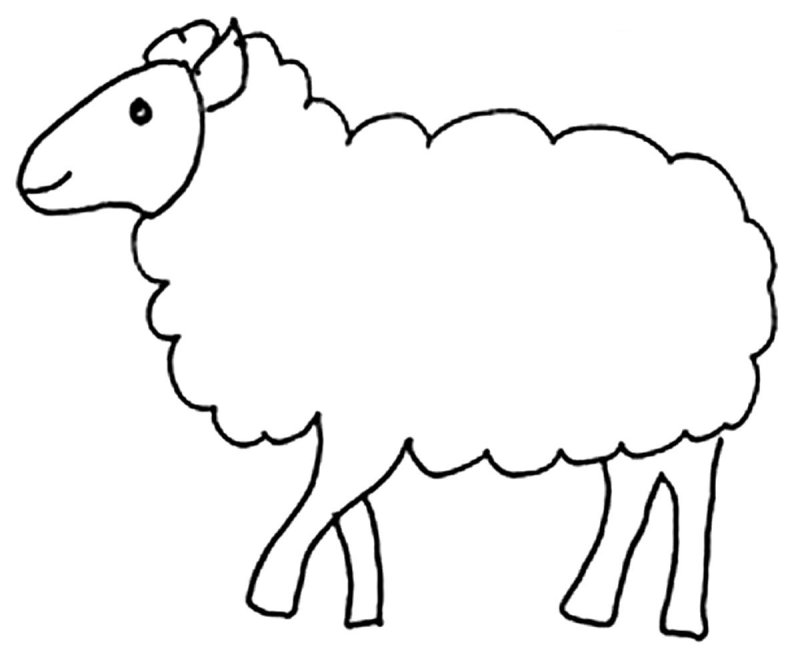 Овечка раскраска для малышей