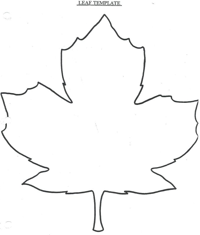 Осенние листья трафареты для вырезания