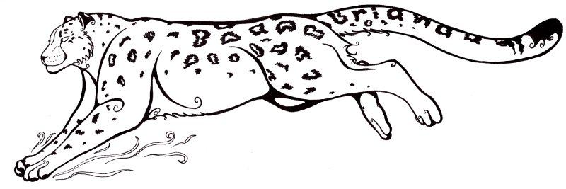 Снежный Барс