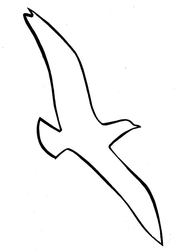 Чайка контур