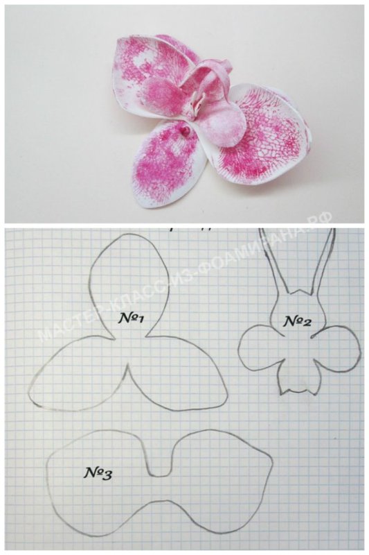 Орхидея Цимбидиум из фоамирана шаблоны