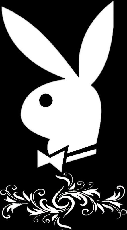 Заяц плейбой