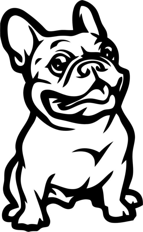 Бульдог силуэт