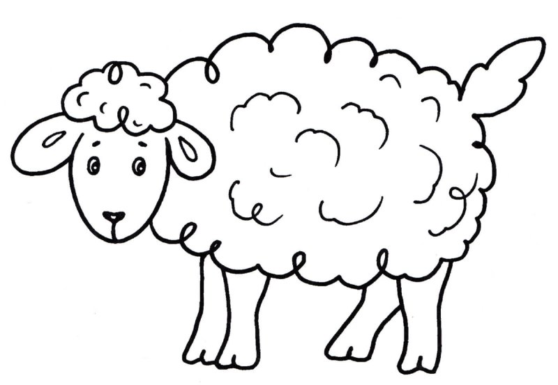 Барашек раскраска