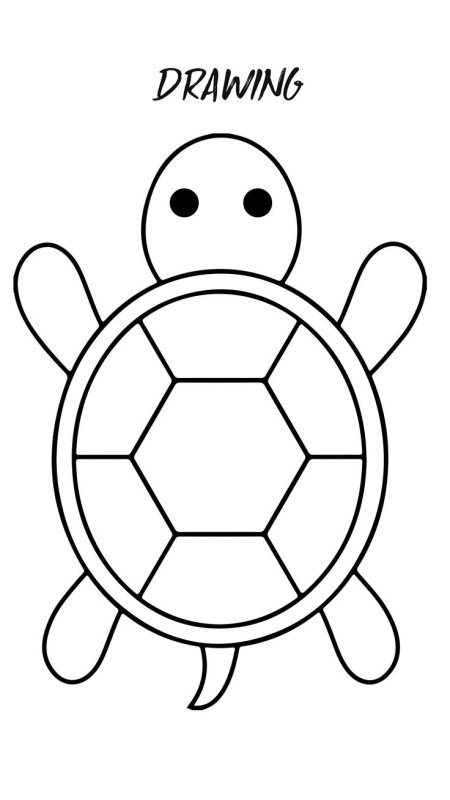 Раскраска черепашка
