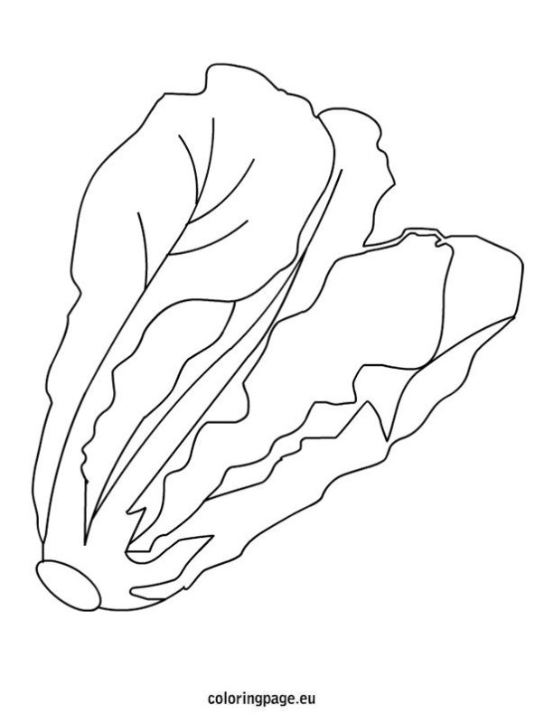 Салат раскраска для детей