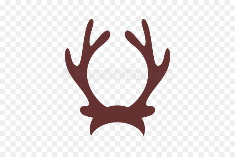 Рожки оленя