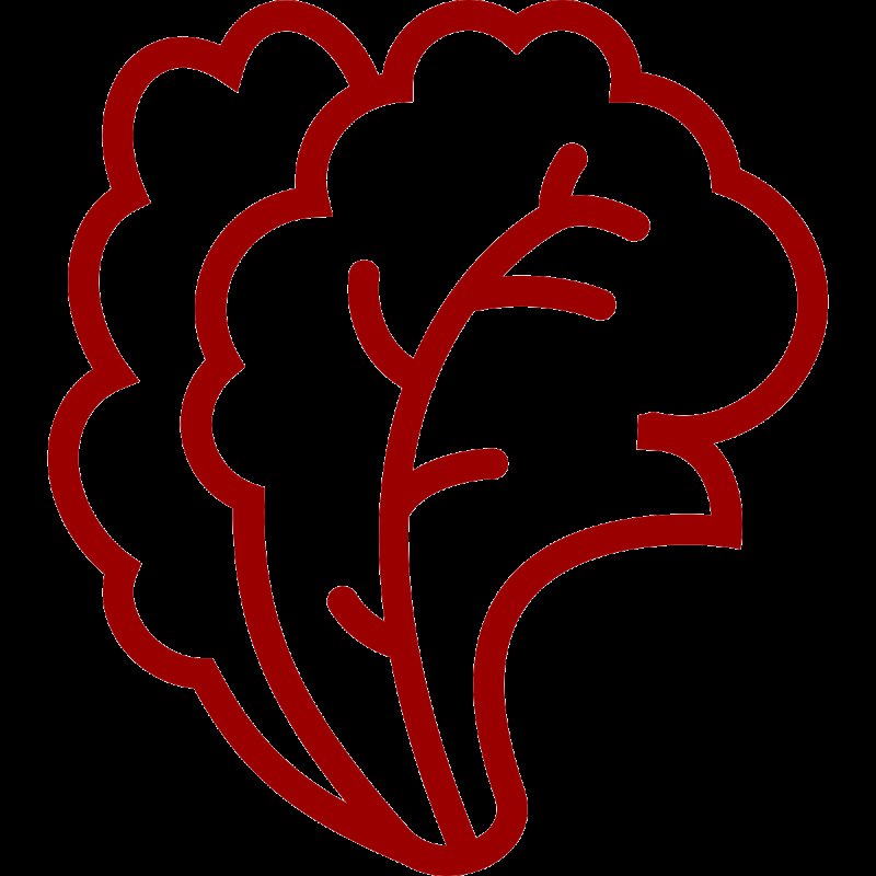 Нарисованный листик салата