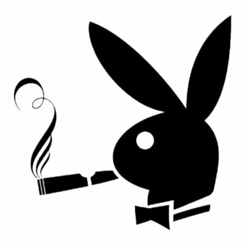 Заяц плейбой