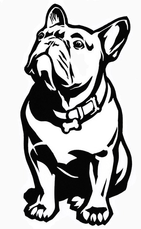 Бульдог силуэт