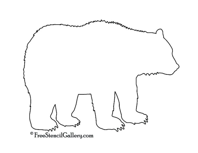 Медведь контур