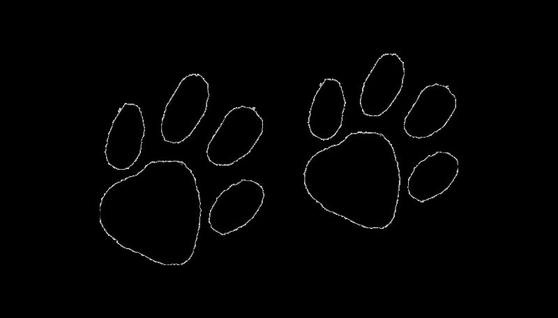 След животного