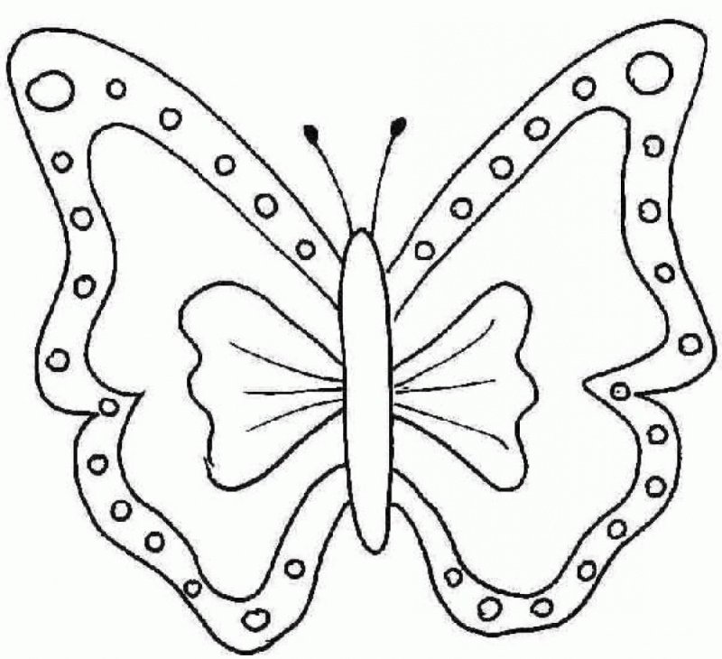 Трафареты бабочки
