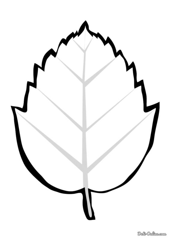 Листья деревьев раскраска