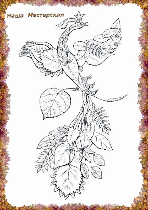 Жар птица раскраска для детей
