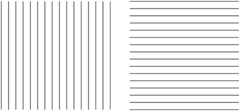 Зебра Линовка а4 печать