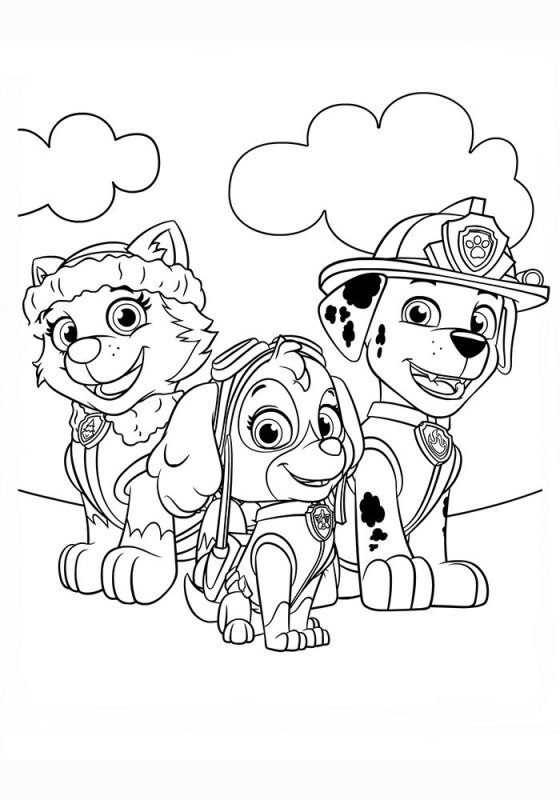 Paw Patrol раскраска