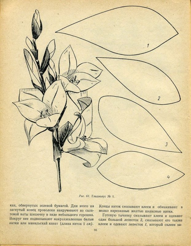 Лекала лепестков лилии