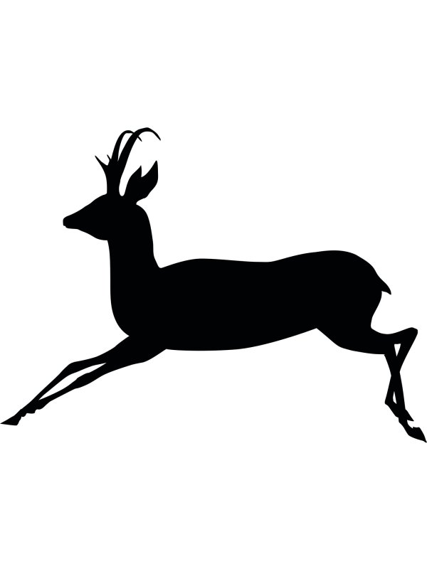 Косуля силуэт