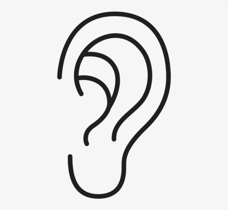 Ухо схематично