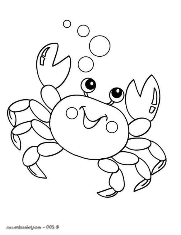 Краб раскраска