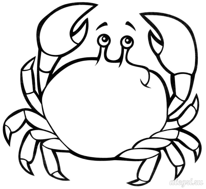 Морские обитатели раскраска для детей