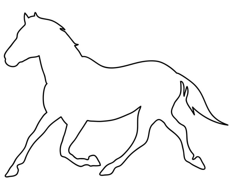 Лошадь контур