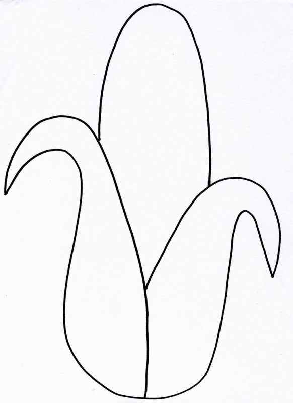 Кукуруза шаблон для рисования