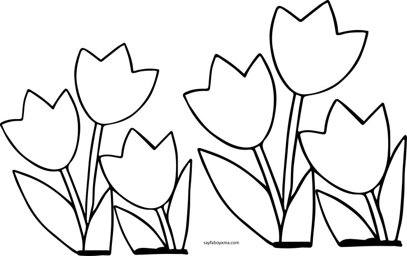 Тюльпаны трафареты для вырезания разных размеров