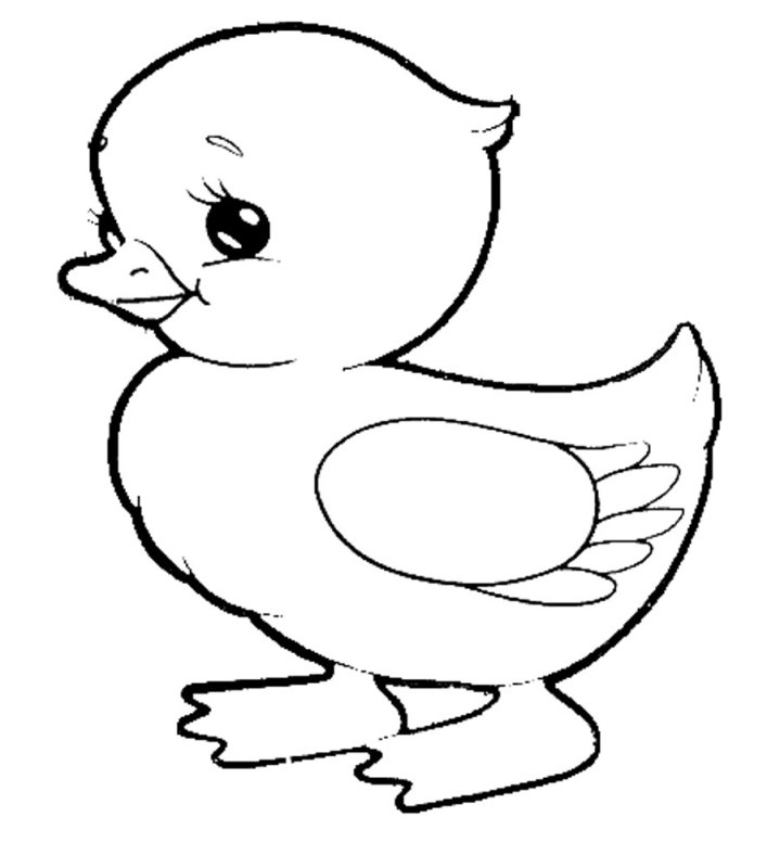 Утенок рисунок для детей