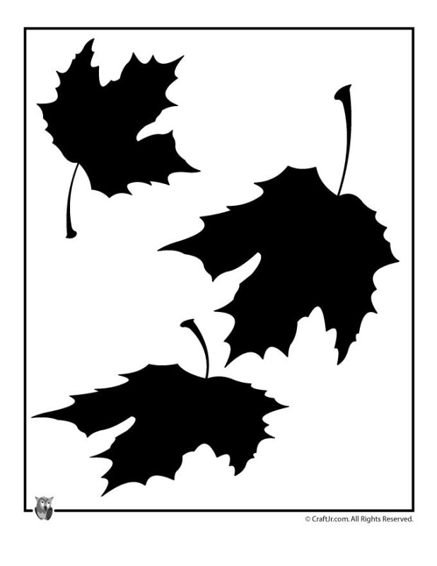 Силуэтная аппликация из листьев