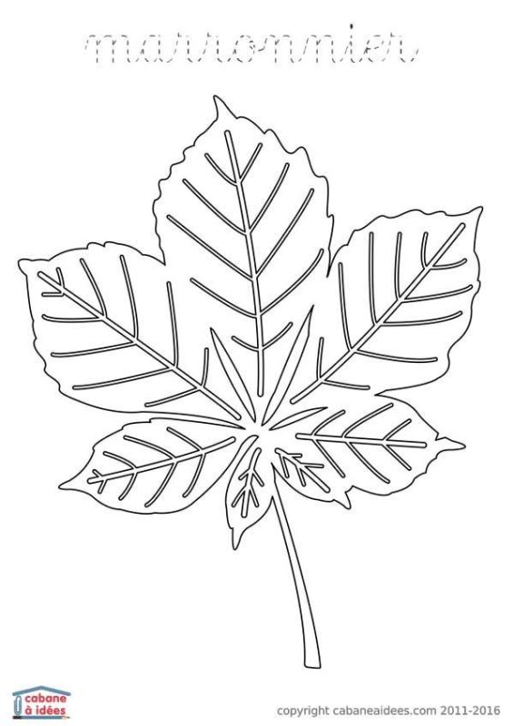 Трафареты "листья"