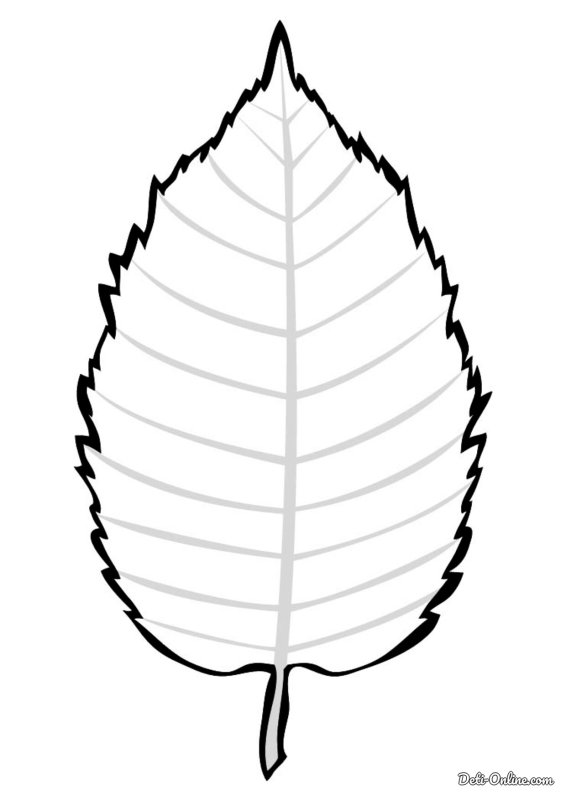 Лист березы раскраска
