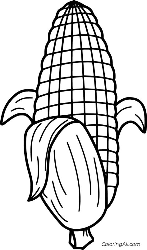 Початок кукурузы раскраска для детей