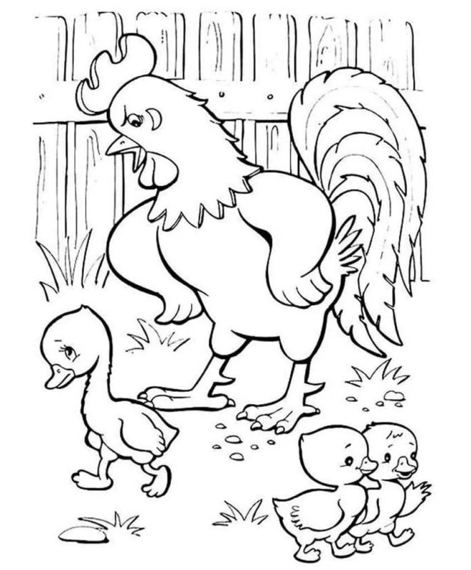 Гадкий утёнок на птичьем дворе